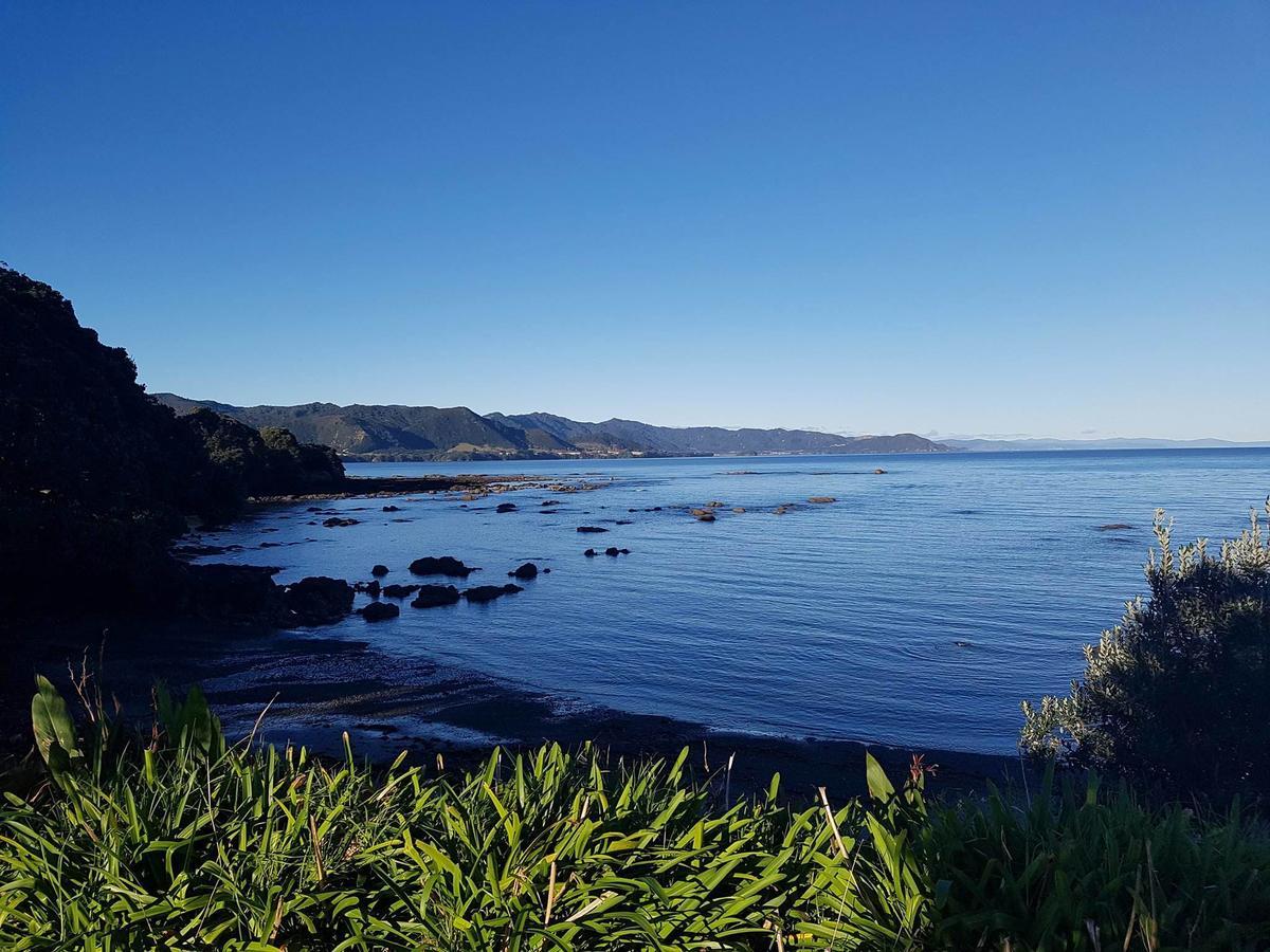Te Kaha Beach Hotel Exterior foto