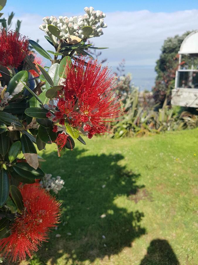 Te Kaha Beach Hotel Exterior foto